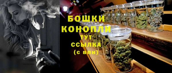 СК Пересвет
