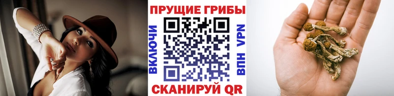 Псилоцибиновые грибы GOLDEN TEACHER Миньяр